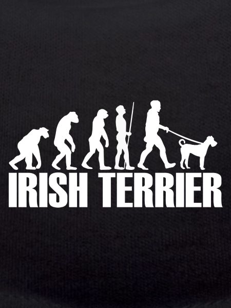 Irish Terrier Hunde Hundebesitzer Evolution