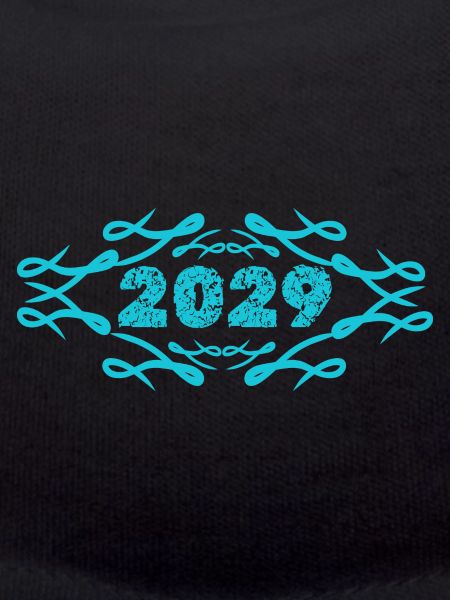 2029