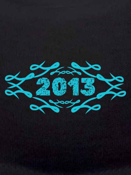 2013
