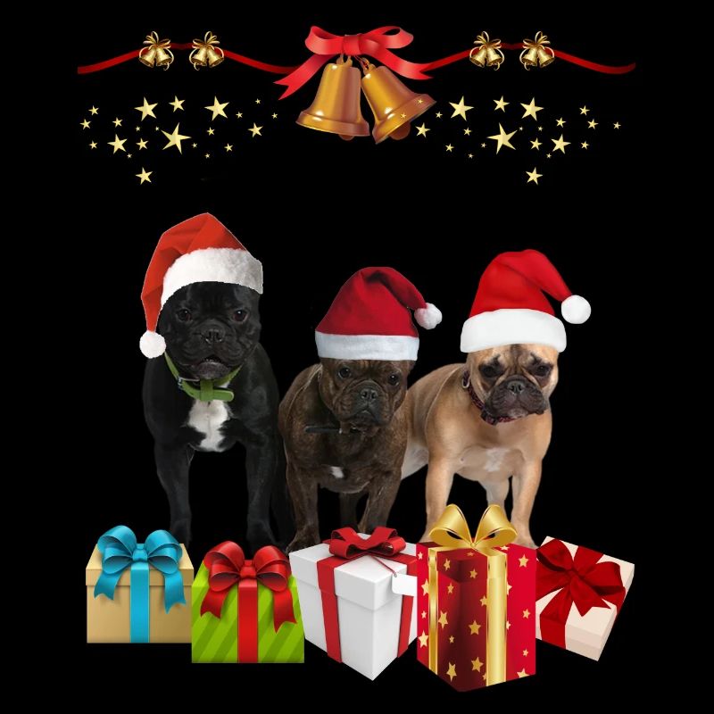 Weihnachten - Hunde und Geschenke