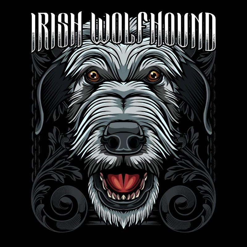 Lévrier irlandais