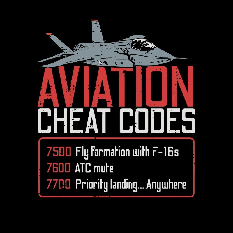 Aviation Cheats Airplane Jet Gift Fly