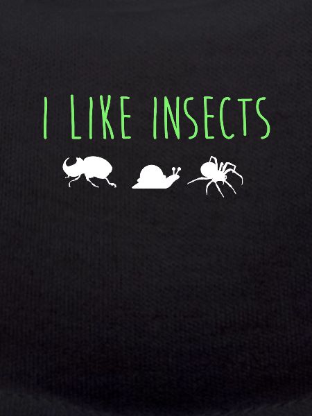 Insectes