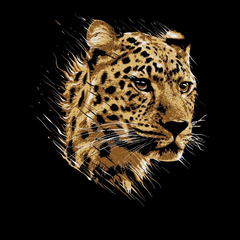 Leopard Gepard Katze Raubkatze Safari Too Mieze