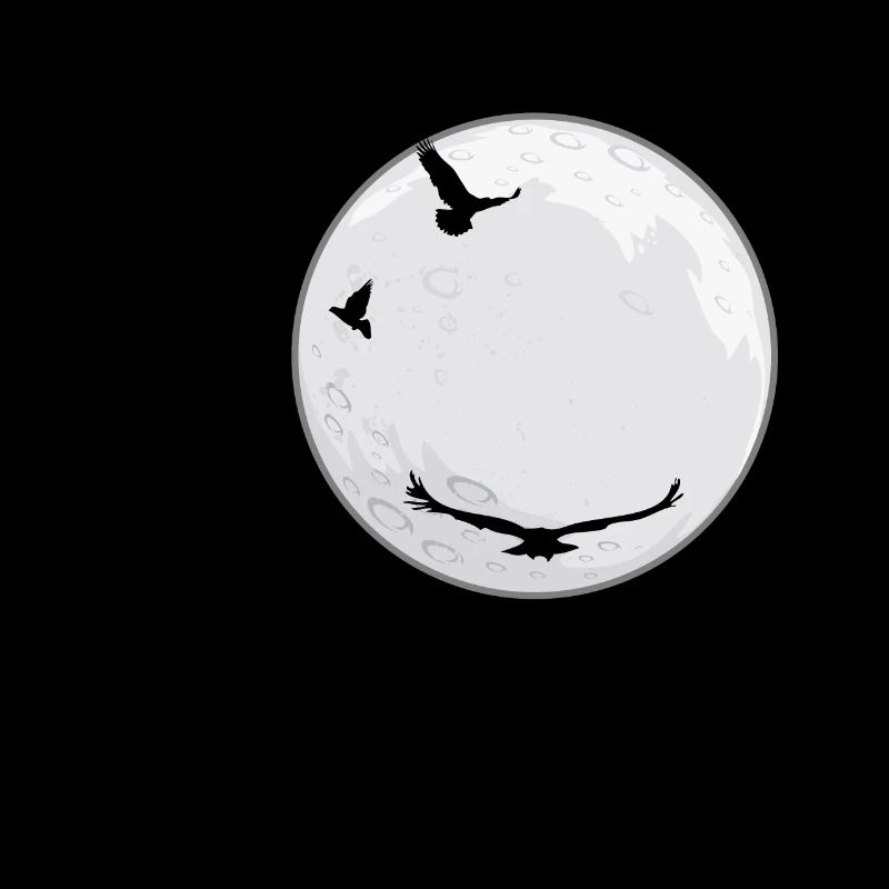 Astronomie nocturnes lune cadeau de l'espace