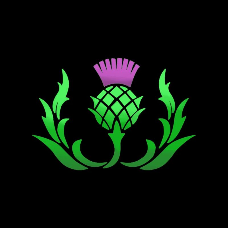 Chardon écosse fleur nationale