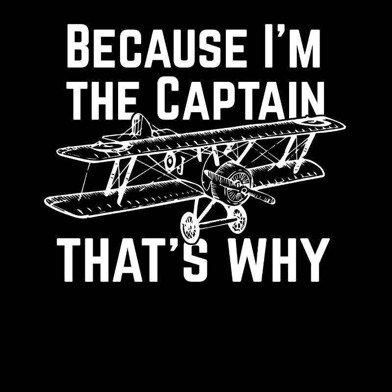 Pilot plane gift