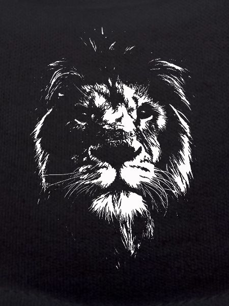 Lion lion face