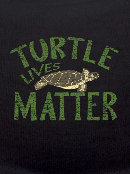tortue