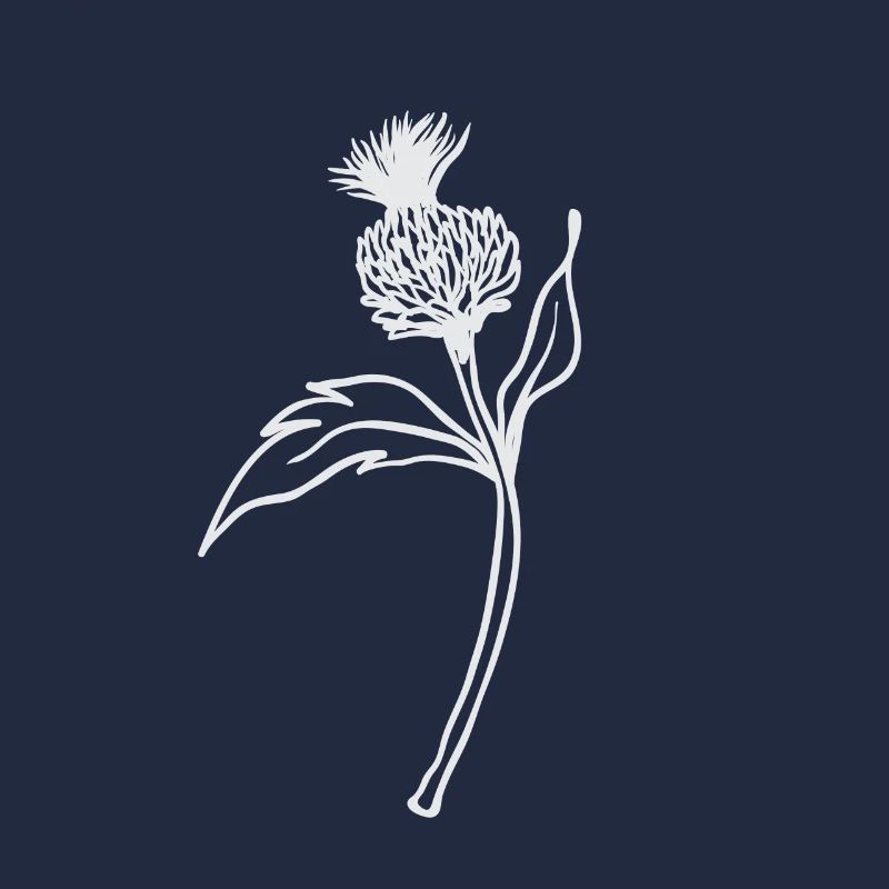 Thistle / Scotland - flower on a stem