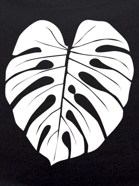 Monstera