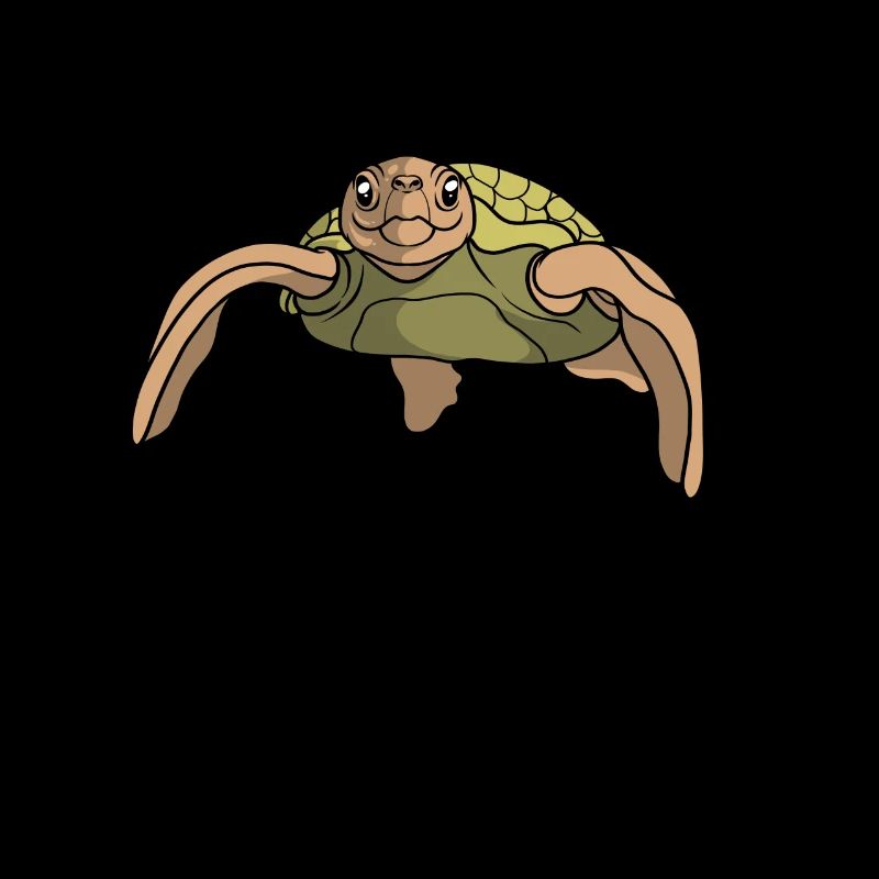Turtle gift I sea turtle