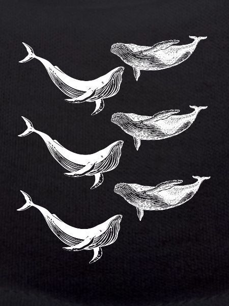 Baleines