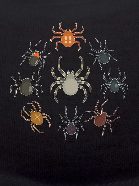 Spiders