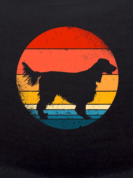 Irish Setter