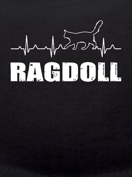 Ragdoll cat heartbeat