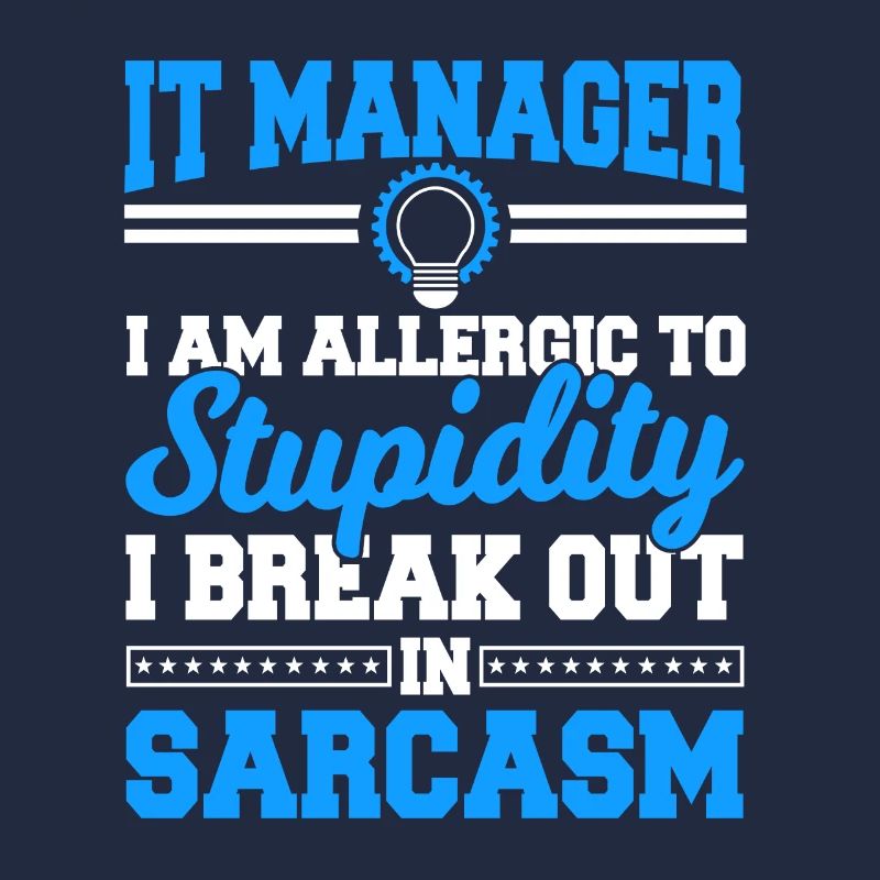 IT Manager Proverbes