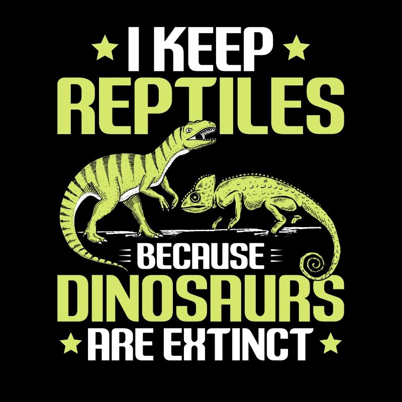 Reptilien Reptil Schlangen Eidechse Terrarium