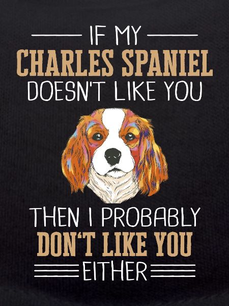 Charles Spaniel Dog