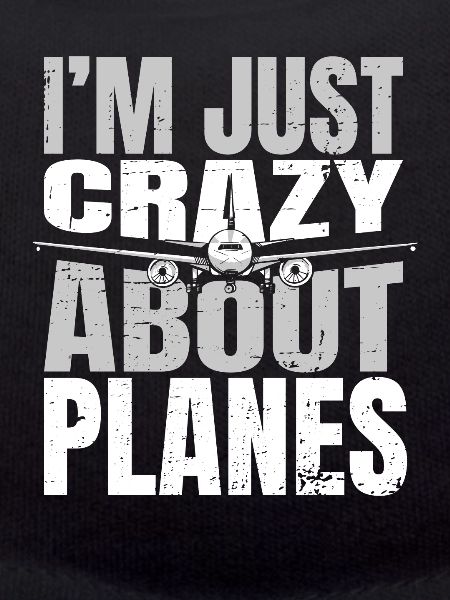 Pilot Aircraft Pilot Aviation