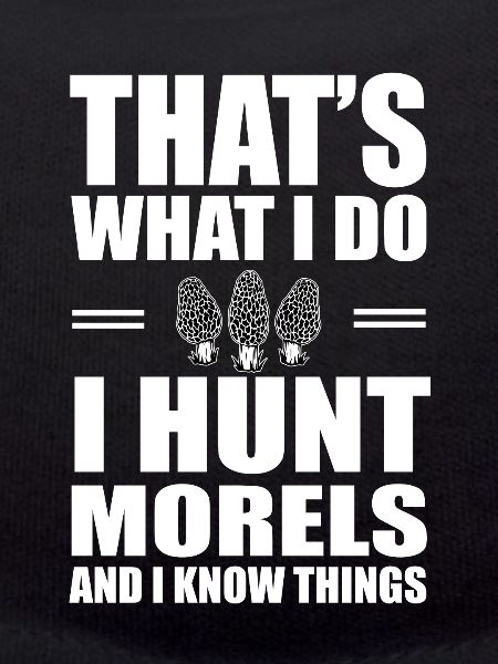 Collecting morels