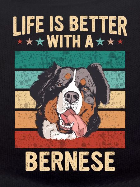 Bernese Mountain Dog Dog
