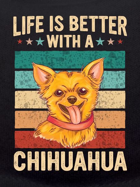 Chien Chihuahua