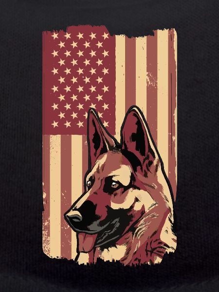 Malinois Hund