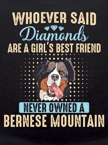 Bernese Mountain Dog Dog