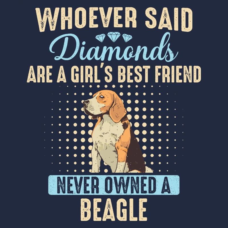 Beagle Hund