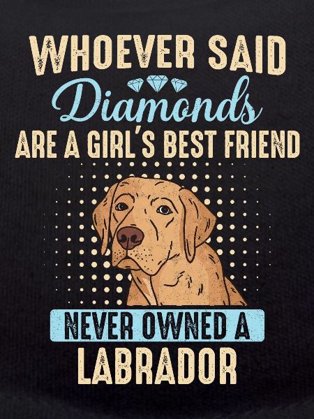 Labrador Dog