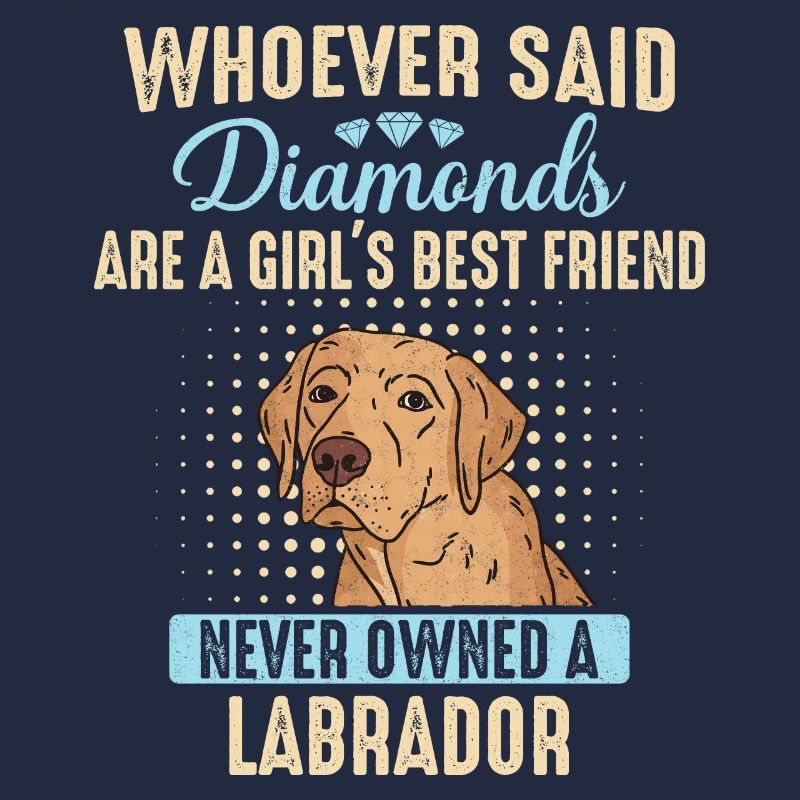 Chien Labrador