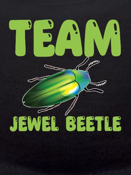 Team Magnificent Beetles