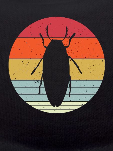 Magnificent beetles