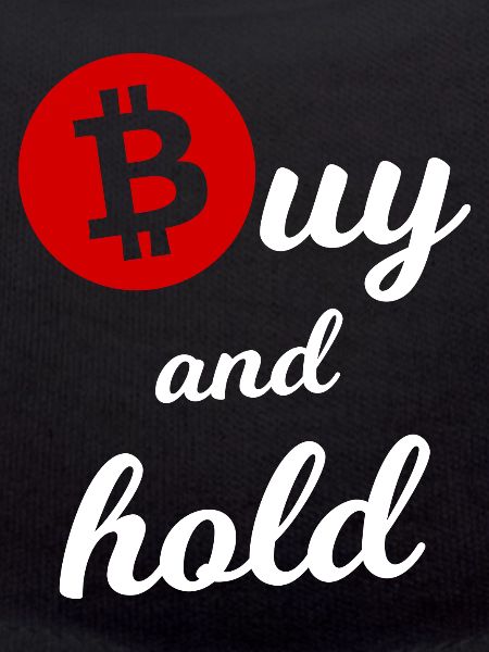 The Bitcoin Investor