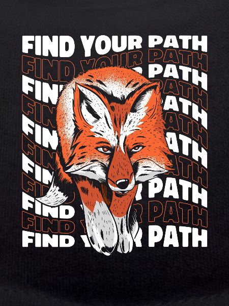 Fox Foxes Animal