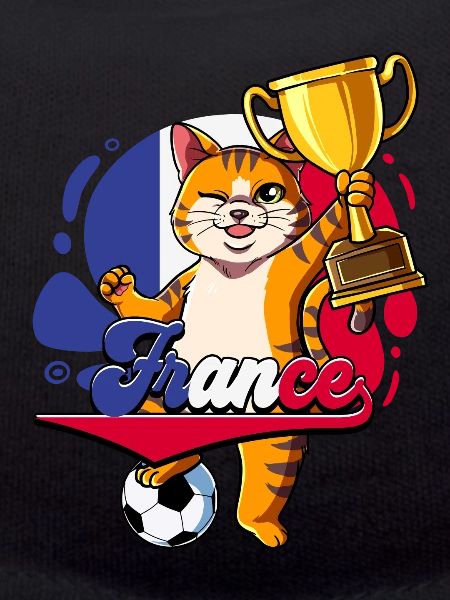 Frankreich Fußball