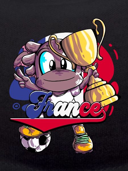 Frankreich Fußball