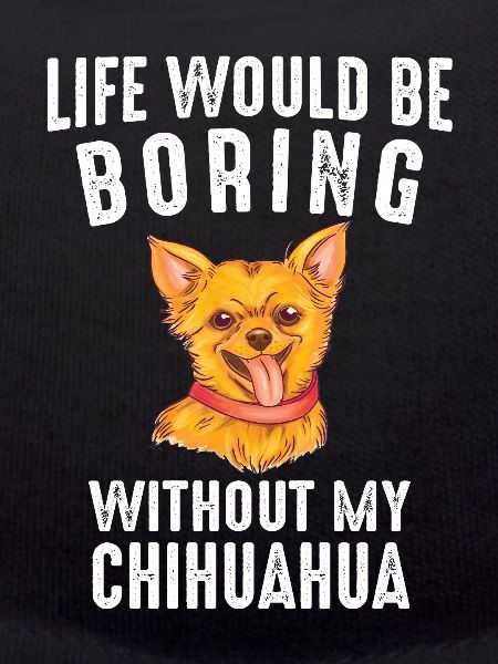 Chien Chihuahua