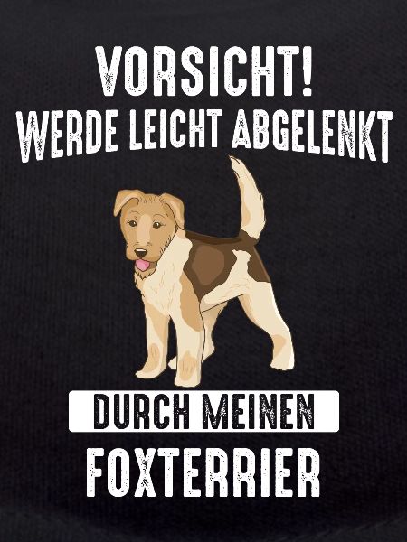 Foxterrier Drahthaar Hund