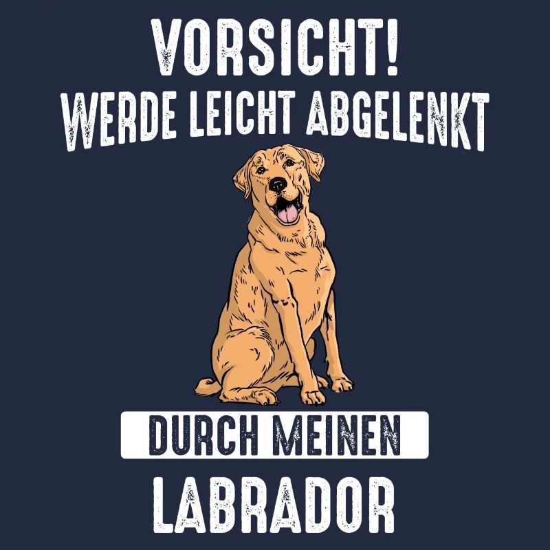 Labrador Hund