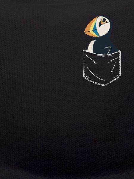 Puffin Seabirds Puffin
