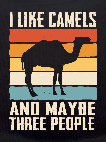Camel Desert Camels Egypt