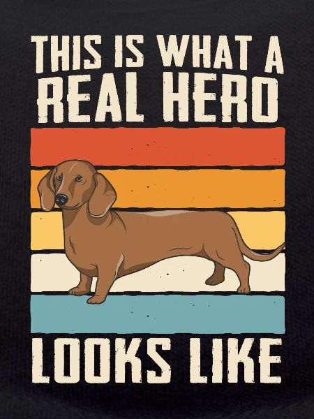 Dachshund Dog