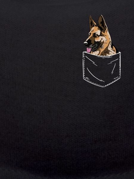 Chien Malinois