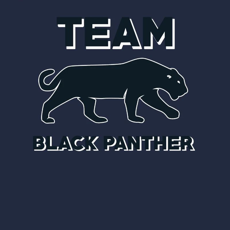 Équipe Black Panther