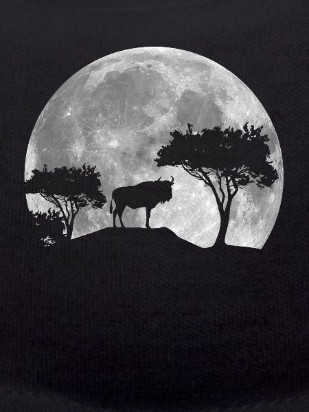 Wildebeest at night
