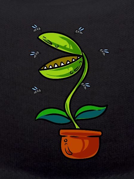 Venus Flytrap Plant
