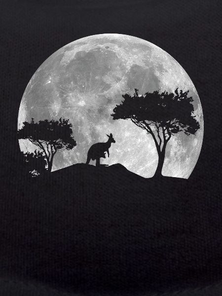 Kangaroo at night