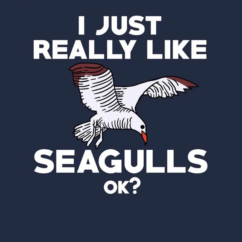 Drôle de mouette